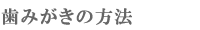 ���݂����̕��@